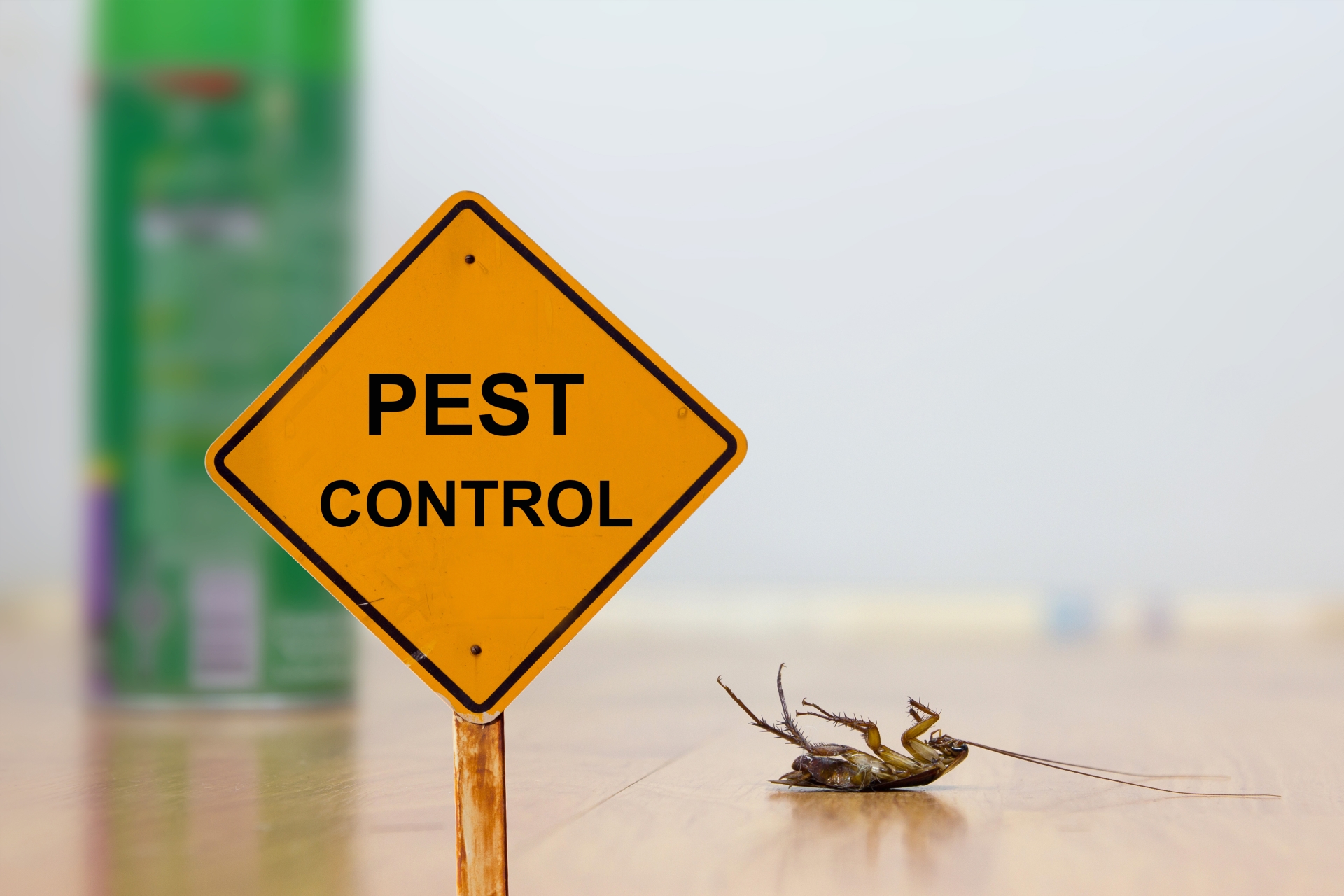 24 Hour Pest Control, Pest Control in Havering-atte-Bower, Abridge, RM4. Call Now 020 8166 9746