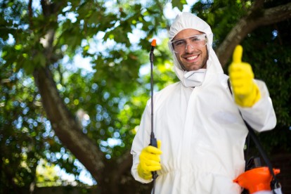 Pest Control in Havering-atte-Bower, Abridge, RM4. Call Now 020 8166 9746