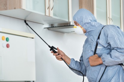Home Pest Control, Pest Control in Havering-atte-Bower, Abridge, RM4. Call Now 020 8166 9746