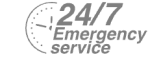 24/7 Emergency Service Pest Control in Havering-atte-Bower, Abridge, RM4. Call Now! 020 8166 9746